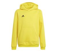 adidas Unisex - Bambini Entrada 22 Sweat Hoodie, team yellow/black, 15-16 Years