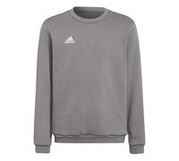 adidas Unisex - Bambini Entrada 22 Sweat Top, Team Grey Four, 5-6 Years