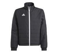 Adidas Giacca Ent22 Ljkty