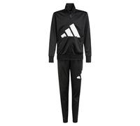 adidas Unisex - Bambini ESSENTIALS BIG LOGO CLIMACOOL TRACKSUIT, black/white, 9-10 Years