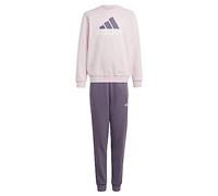 adidas Unisex - Bambini Essentials Big Logo Fleece Jogger Set Kids, clear pink/shadow violet/white, 13-14 Years