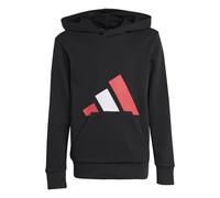adidas Unisex - Bambini Essentials Big Logo Hoodie, Black/Pure Ruby/White, 11-12 Years