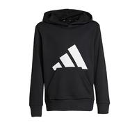 Adidas Essentials Big Logo Hoodie Nero 9-10 Years Bambini