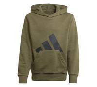 adidas Unisex - Bambini Essentials Big Logo Hoodie, Verde (Olive Strata/Black), 15-16 Anni