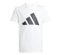 adidas Unisex - Bambini ESSENTIALS BIG LOGO T-SHIRT SET, white/black, 9-10 Years