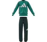 Adidas Tuta da Ragazzi Essentials Joggers Verde Taglia 13-14 A Codice JV9938 Verde