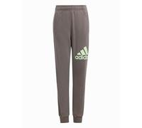 adidas Unisex - Bambini Essentials Regular Fit Big Logo Cotton Pants, Charcoal/Semi Green Spark, 11-12 Years
