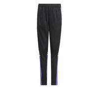 Adidas Unisex - Bambini SQUADRA25 Training Pant Kids, Black/Purple Rush, 11-12 Years