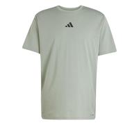 adidas Uomo Climacool One Rep At A Time Training Graphic T-Shirt, Silver Green, XXL