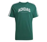 adidas sportswear - M C COLLEG TEE Verde - Abbigliamento - Taglia L L Verde