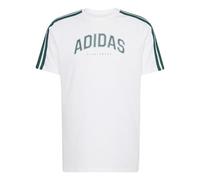 ADIDAS M C COLLEGE TEE JJ3868 - BIANCO / L