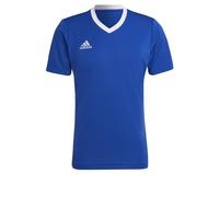 adidas Uomo Entrada 22 Jersey, Royal Blue, Taglio aderente Scollo a V 3XL