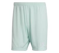 adidas Uomo Entrada 22 Shorts, Clear Mint, S