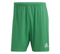 Adidas Uomo Entrada 22 Shorts, Team Green, S