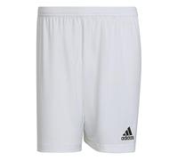 adidas Uomo Entrada 22 Shorts, White, M