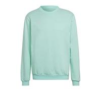 Adidas Uomo Entrada 22 Sweatshirt, Clear Mint, M