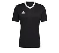 adidas Uomo Entrada 22 Tee, Black, M