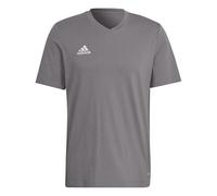adidas Uomo Entrada 22 Tee, Team Grey Four, L