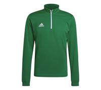 Adidas Uomo Entrada 22 Training Top, Team Green/White, M