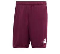 adidas Uomo Entrada26 Shorts, Team Maroon 2/White, L