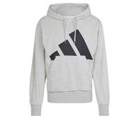 adidas Uomo Essentials Big Logo French Terry Hoodie Sweatshirt, Medium Grey Heather/Black, L
