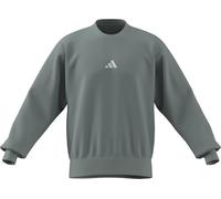 adidas Uomo Essentials FEELCOZY Fleece Sweatshirt, Wonder Sage/White, L