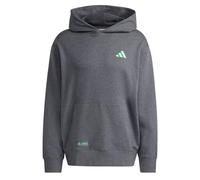 Adidas Uomo Mercedes - AMG Petronas Formula One Team Premium Sweat Hood Men, Dark Grey Heather, L
