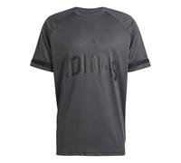 adidas Uomo Seasonal Essentials US Sport T-Shirt, Dark Grey, XXL