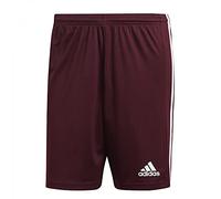 adidas Uomo Squadra 21 Shorts, Team Maroon / White, S