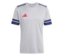 adidas Uomo SQUADRA25 Jersey Short Sleeve, Glory Grey/Team Navy Blue 2/Pure Ruby, L