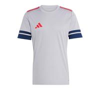 adidas Uomo SQUADRA25 Jersey Short Sleeve, Glory Grey/Team Navy Blue 2/Pure Ruby, XL