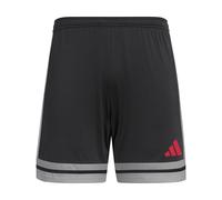 adidas Uomo SQUADRA25 Short, Black/Team Grey Four/Pure Ruby, L