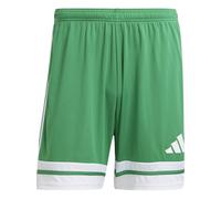 Squadra 25 Pantaloni Corti Team Green / White M