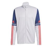 Giacca Tuta Allenamento UOMO Adidas Squadra 25 Training Grigio .