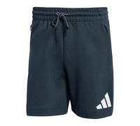 Short Z.N.E. Aurora Ink L