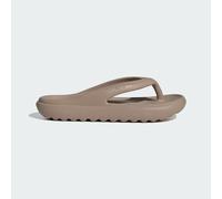 ADILETTE LUMIA CIABATTE Trace Khaki / Trace Khaki / Trace Khaki 40 1/2