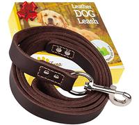 ADITYNA del guinzaglio del Cane 1,8 m - del Cane guinzagli per Cani Grandi, Medie e Piccole - guinzaglio in Pelle per Escursioni e allenamenti - Resistente guinzaglio del Cane in Pelle (Marrone)