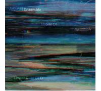 Adjunct Ensemble Habits of Assembly: Live at Cafe OTO (CD) Album
