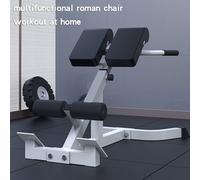 Adjustable Roman Chair Back Extension Exercise Bench Back Training Supine Board
