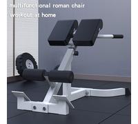 Adjustable Roman Chair Back Extension Exercise Bench Back Training Supine Board