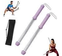 Adjustable Ropeless Battle Ropes Trainer, 2-in-1 Cordless Battle Ropes for Home Gym - Quiet & Space, Weighted Ropeless Combat Workout Rope for Full Body Training, Cardio, and Strength (Purple,Gen 1)