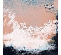 Admiral Fallow - The idea of you - Blue vinyl