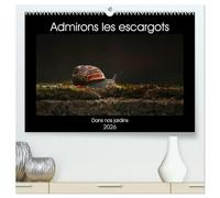 Admirons les escargots (Calendrier mural 2026 DIN A2 vertical) calendrier de bureau: Dans nos jardins