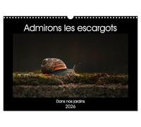 Admirons les escargots (Calendrier mural 2026 DIN A3 vertical), CALVENDO calendrier mensuel: Dans nos jardins