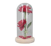 ADMYTHGB Rosa illuminata in vetro con luce a LED bianco caldo, decorazione con fiore artificiale e base in legno, 2 rose, regalo romantico per lei, decorazione per la casa o l’ufficio per S