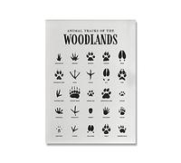 AdoDecor Stampa su tela Poster di tracce di animali del bosco Quadro camera da letto,Quadri moderni soggiorno Muro delle impronte di tracciamento degli animali Stampe da parete(Non incorniciato)