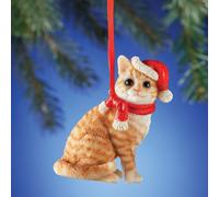 Adorabile Arancione Tigrato Gattina Gatto Indossare Babbo Natale Cappello E