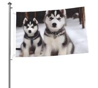 Adorabile bandiera Huskies 0,6 x 0,9 m stampa su entrambi i lati bandiere da giardino bandiera da cortile per esterni bandiere regalo banner con occhielli sfondo fotografico per interni ed esterni