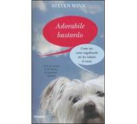 Adorabile bastardo. Come un cane vagabondo mi ha rubato il cuore