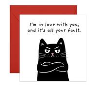 Adorabile biglietto d'amore con gatto - "I'm in love with you and it's all your fault" - simpatico biglietto romantico per lui, lei, fidanzato, fidanzata, moglie, marito, anniversario o San Valentino